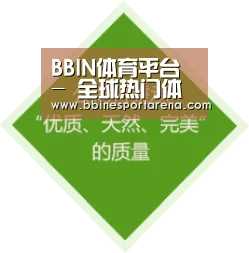 BBIN体育平台 - 全球热门体育赛事平台