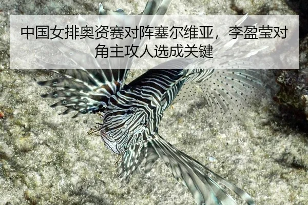 zhong-guo-nv-pai-ao-zi-sai-dui-zhen-sai-er-wei-ya-li-ying-ying-dui-jiao-zhu-gong-ren-xuan-cheng-guan-jian-3-885.jpg