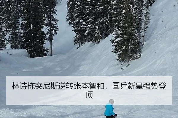 lin-shi-dong-tu-ni-si-ni-zhuan-zhang-ben-zhi-he-guo-ping-xin-xing-qiang-shi-deng-ding-3-319.jpg