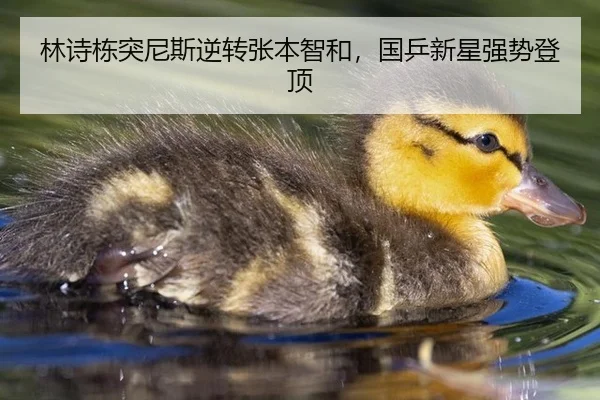 林诗栋突尼斯逆转张本智和，国乒新星强势登顶