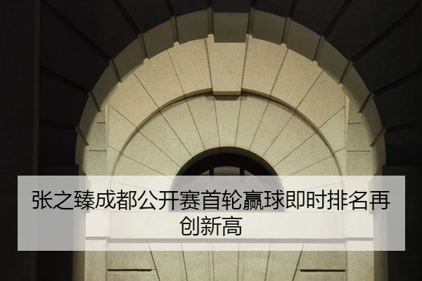 张之臻成都公开赛首轮赢球即时排名再创新高